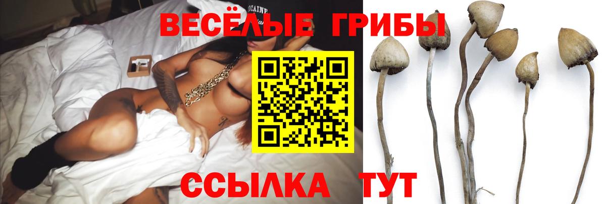 Галлюциногенные грибы MAGIC MUSHROOMS  дарнет шоп  Керчь  Вход с VPN 